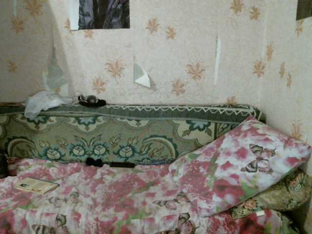 Vysílací screenshoty kar0linaa666