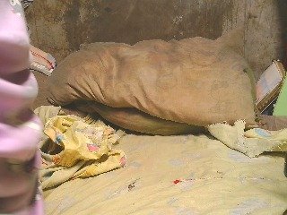 Erotický videochat NaughtyWetPieXx