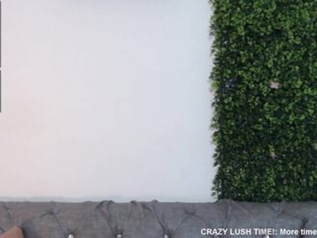 Vysílací screenshoty NicoleThomas