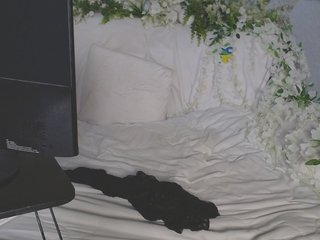 Erotický videochat ViteR_
