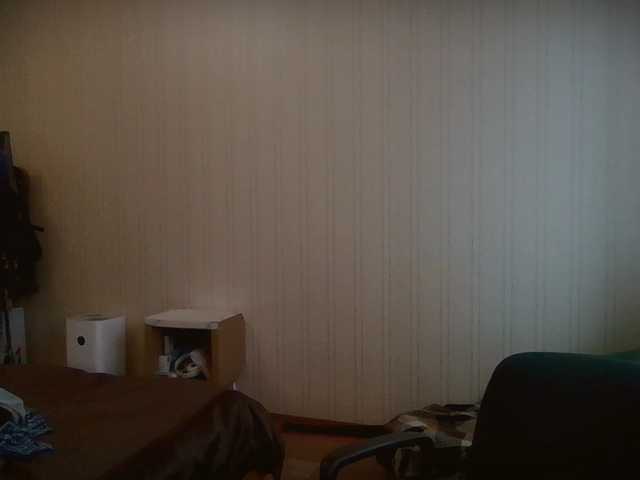 Vysílací screenshoty panterol