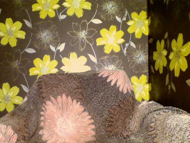 Vysílací screenshoty ParisCindy