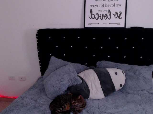 Vysílací screenshoty pervertlykloe