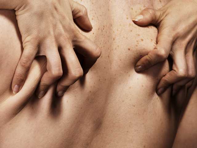 Fotografie profilu Pineapple-Sex