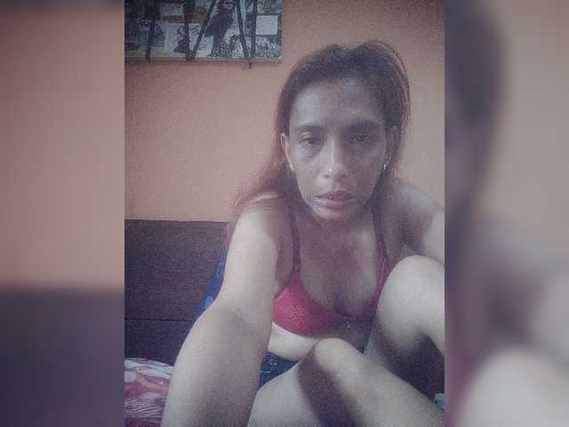 Vysílací screenshoty Pinkhorny