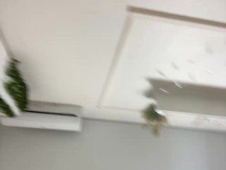 Erotický videochat Tvoyaboginya