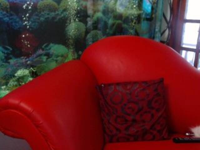 Vysílací screenshoty RoxanneFox