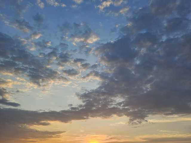 Fotografie profilu onehumanbeing