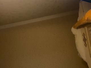 Erotický videochat senxual-
