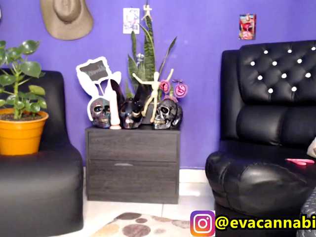 Vysílací screenshoty evacannabithc