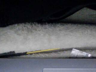 Erotický videochat sexysapphiresweet