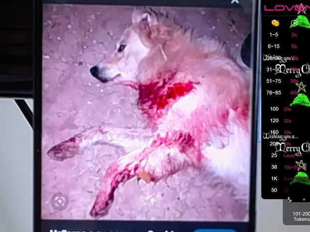 Vysílací screenshoty sofiaclaus