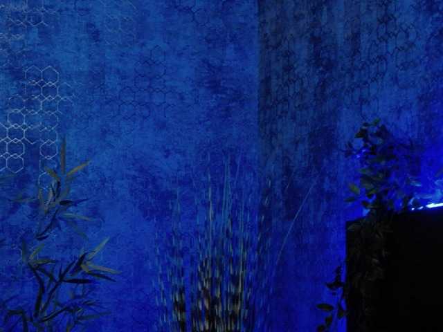 Vysílací screenshoty StaceyDi