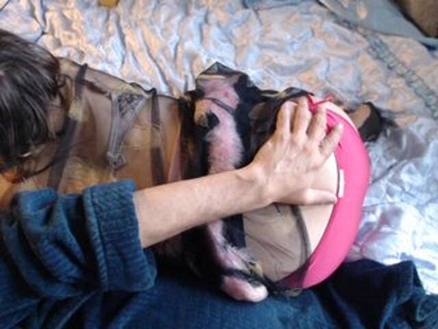 Vysílací screenshoty Masha_Ivanova