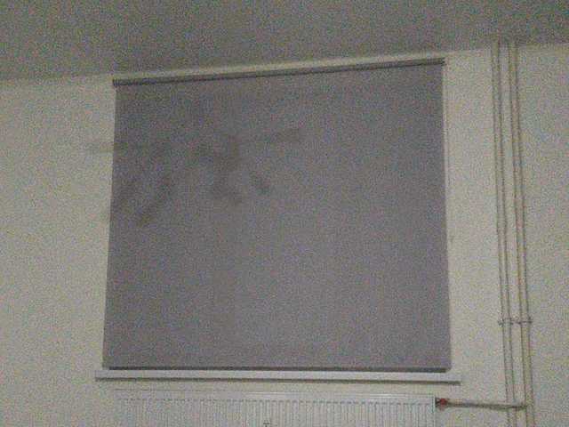 Vysílací screenshoty Stasyaa