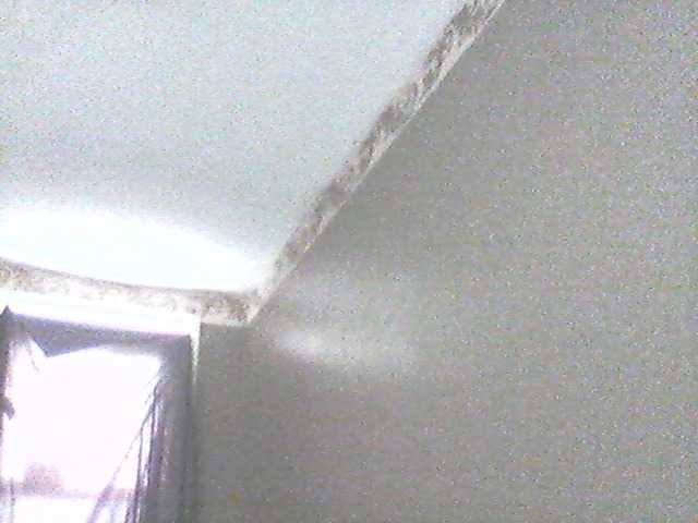 Vysílací screenshoty supa19kitty