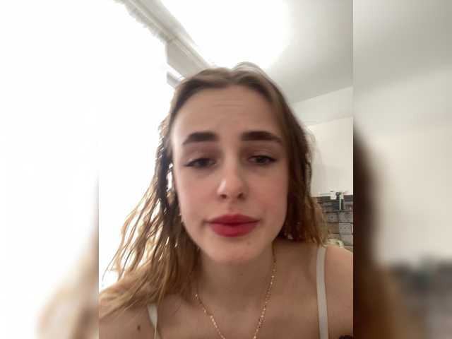 Vysílací screenshoty TeslaModelXXS