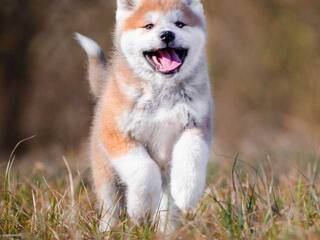 Erotický videochat Val309a