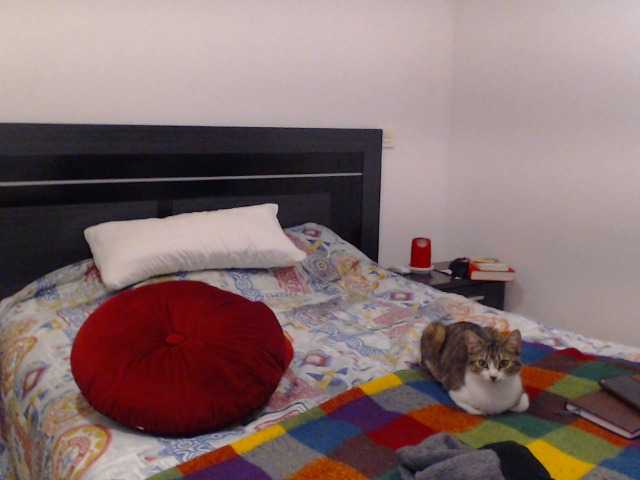 Vysílací screenshoty vanelatin