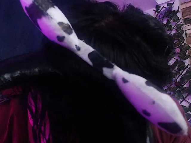 Vysílací screenshoty veronica-59