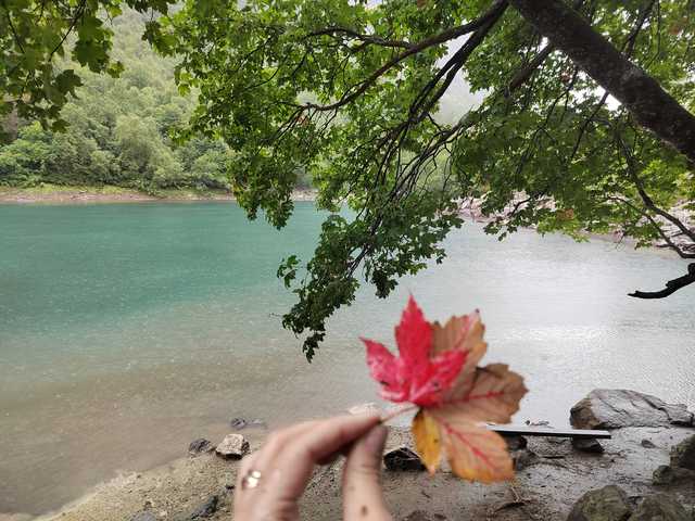 Fotografie profilu _GoodGirl_