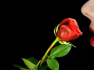 Fotografie profilu xxsweetlady