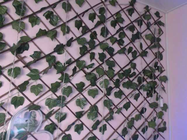 Vysílací screenshoty zoe04